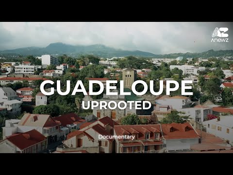Documentary: Guadeloupe Uprooted