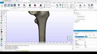 Tutorial: How to Prepare a Bone Model for FEA