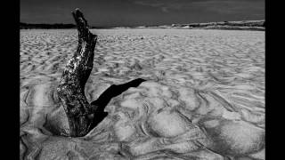 Daevid Allen-"Deep Sea"