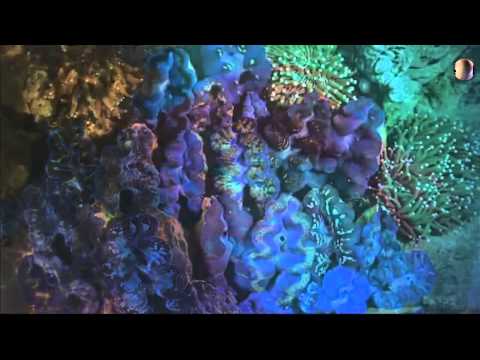 UPLIFTING TRANCE - SESSIONS EPISODE 64