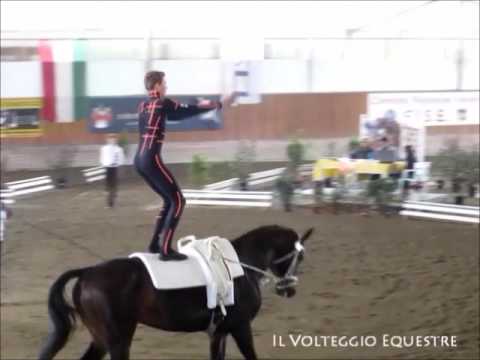 CVI Portogruaro 2016 - Volteggio - Ind 2* j M - 1° Gregor Klehe