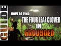 How to find the four leaf clover in grounded | coup de grass mutation