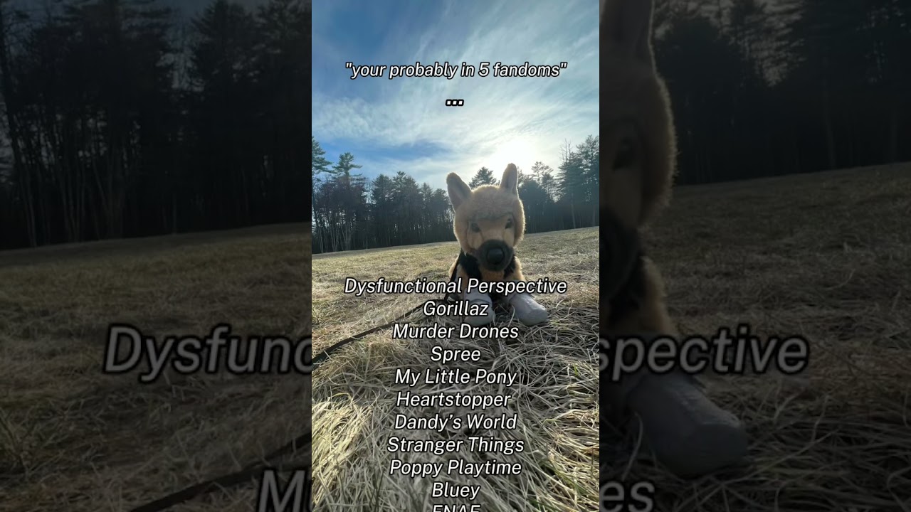 I’m totally in 5 fandoms // #essa #meme #ezraishungry #fandom #fandoms #chronicallyonline #essas