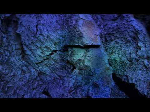 Joseph Loibant “ARGON” ( Full version )