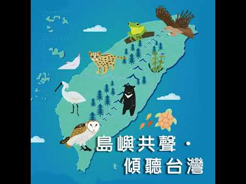 【島嶼共聲．傾聽台灣】從阻礙到共好，遠望坑溪的「回春」之路