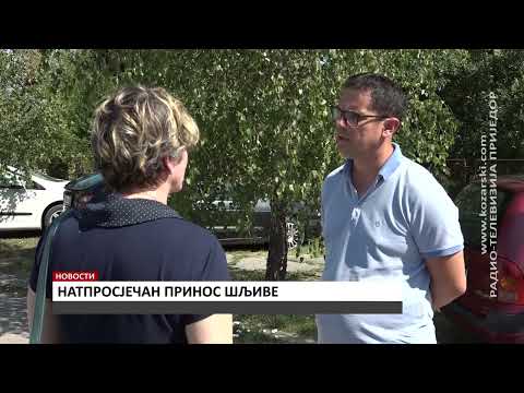 NATPROSJEČAN PRINOS ŠLJIVE