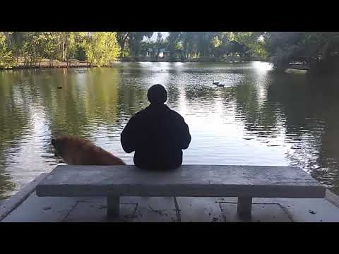 THE ISNESS. A MEDITATION IN WHAT IS THE I AM OF PURE AWARENESS