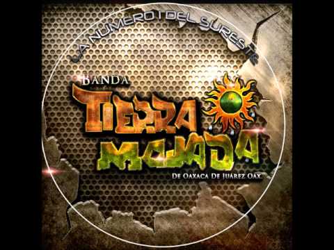 LAS MARMOTAS-Banda Tierra Mojada