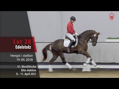 61. Elite-Auktion Trainingsvideo Lot 28 Edelstolz Hengst v. Ehrenstolz - Lissaro