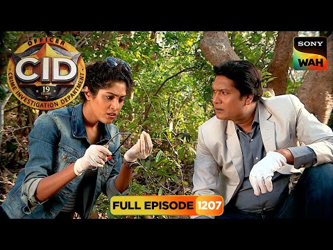 घने जंगल में Abhijeet और Tarika को मिली एक Strange Pipe Line | CID | सी.आई.डी. | 25 Sep 2025