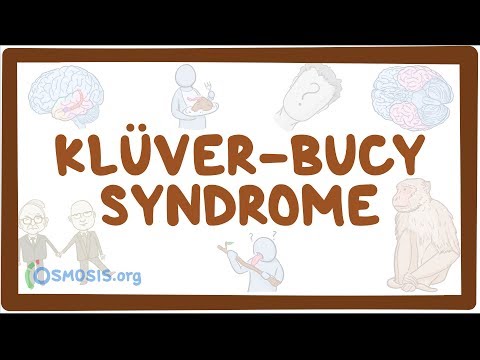 [Pdf] Klüver-Bucy Syndrome : Kluver-Bucy Syndrome – SXEO