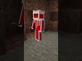 Types of Skins in Minecraft