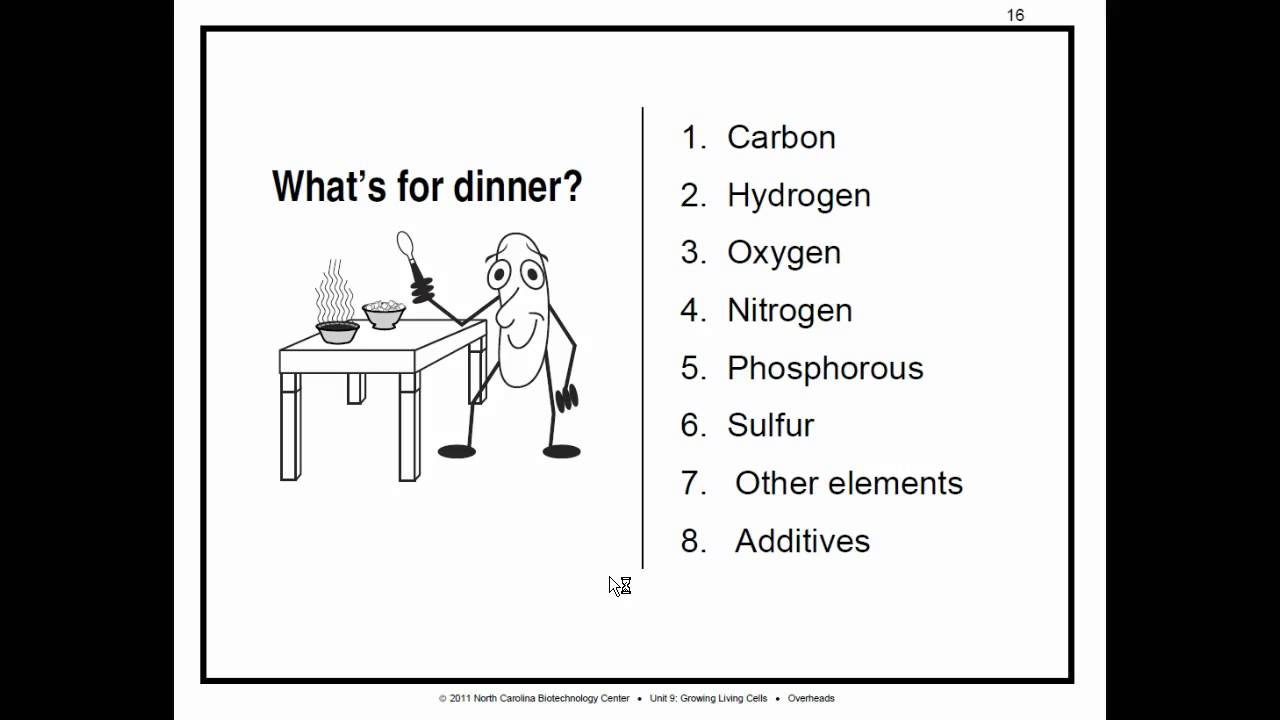 Biowork 9p41-59 Upstream Processing - Lab Culture and Media Prep