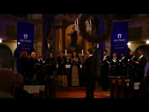 Martinů Voices - MHF Lípa Musica 2017