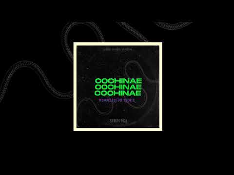 COCHINAE (Sandunga Moombahton Remix) - Julianno Sosa x King Savagge