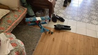 Neighboring Feud! | Operation Oberschliesen Season 2