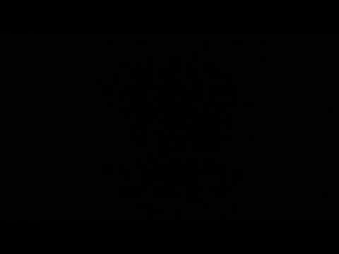 Craig Mortalis @ HEIMSPIEL #3 + WE ARE NUTS! BDAY SHOW #2 - Alter Industriepark Osterwieck