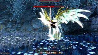 검벨라 레지나 노히트 솔플해봤습니다.