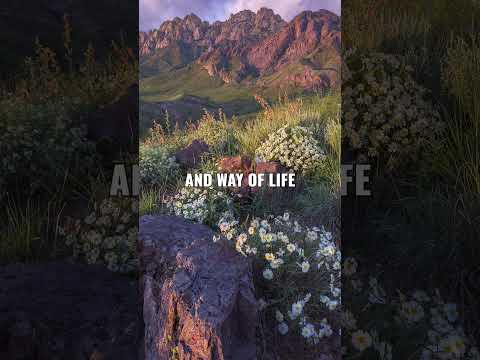 Happy anniversary, Organ Mountains-Desert Peaks National Monument!