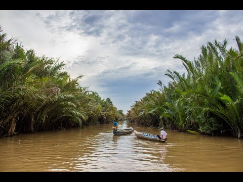 Discovering Amazing Cai Be: A Mekong Delta Adventure
