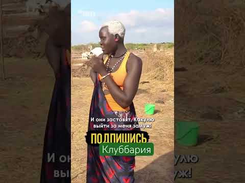 За Какулю 80 коров дали. У меня много вопросов 😹 #клуббария #юмор #love #мем #music #дуэт #snow