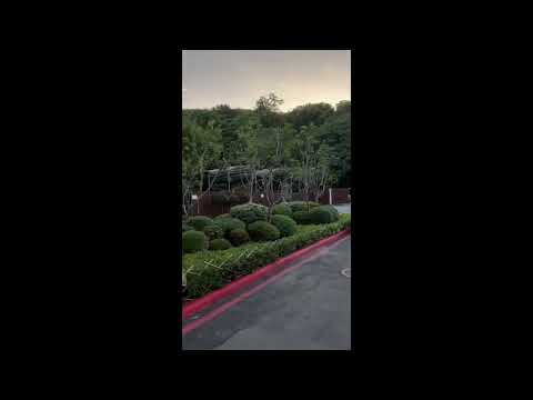 #notícia: Pessoas andando na cidade. O sino vai e volta por cerca de 10 a 15 minutos! Parque da Cidade de Taipei: 104, Lane 40, Seção 3, Tingzhou Road, Distrito de Zhongzheng, Cidade de Taipei (Corrida)😱😱👍