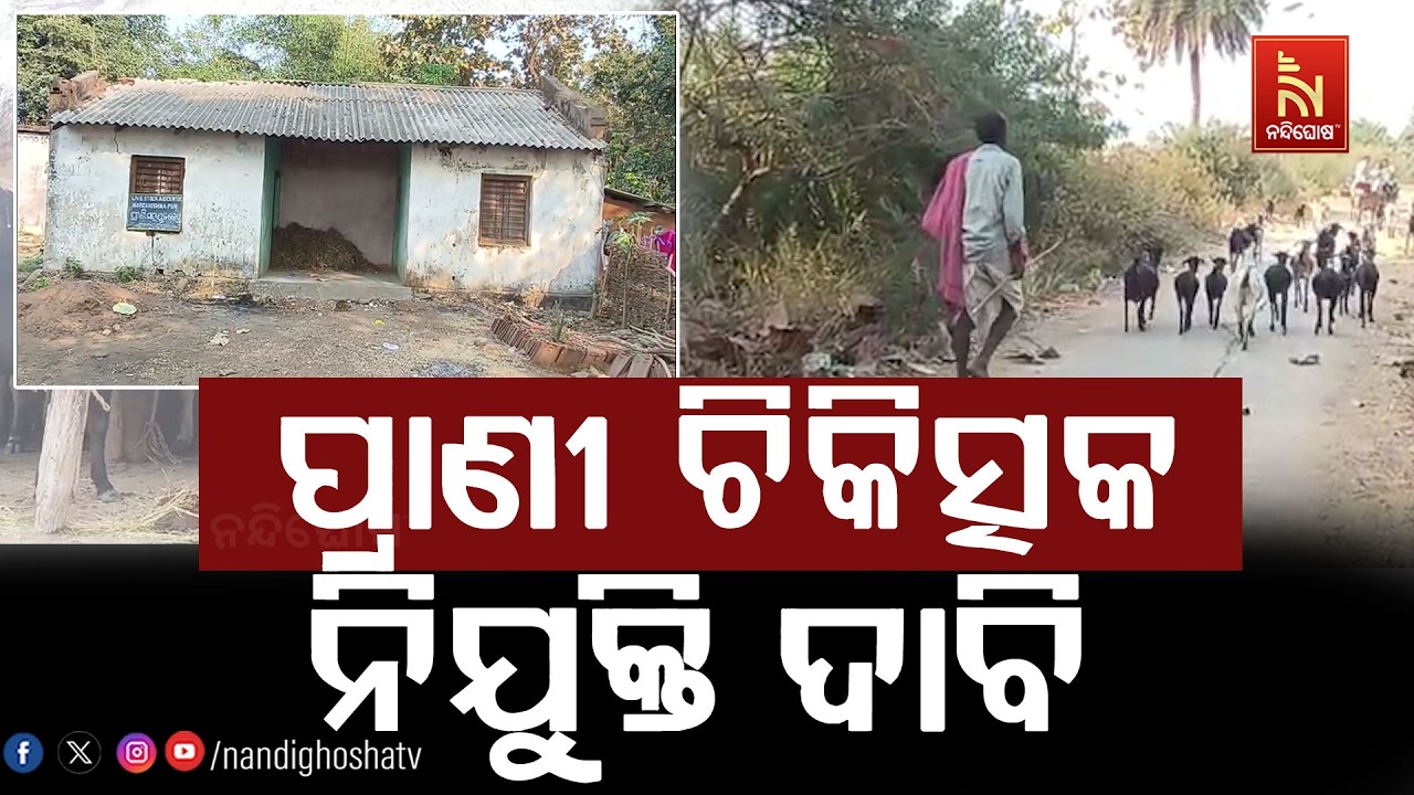 ଅବହେଳିତ ଅବସ୍ଥାରେ ବୌଦ୍ଧର ବିଭିନ୍ନ ପ୍ରାଣୀ ସହାୟକ କେନ୍ଦ?