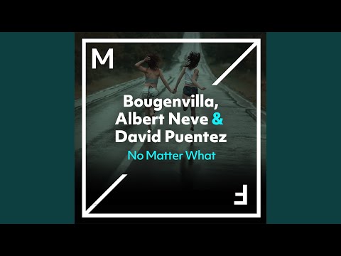 No Matter What (Extended Mix)