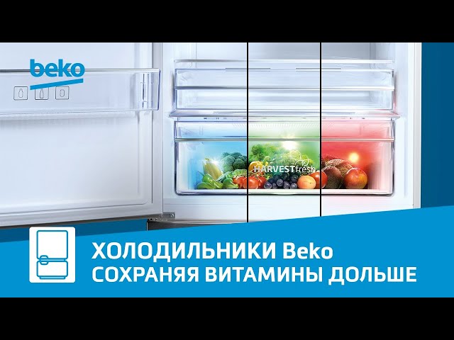 RCNK335E20VW с нижней морозильной камерой купить по цене производителя ...