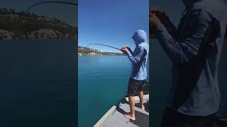Northern pike fishing in European seas #fishing #mancing #amazing #shorts