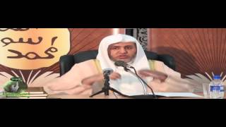 صورة علي الشبل | المنظومة اللامية