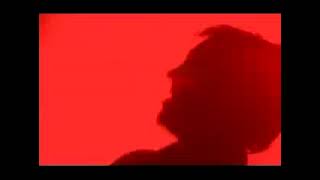 Apoptygma Berzerk - Bitch (Live)