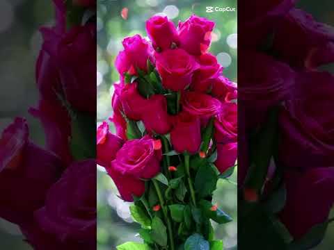 shamima #flowers #viralvideo #subscribe.