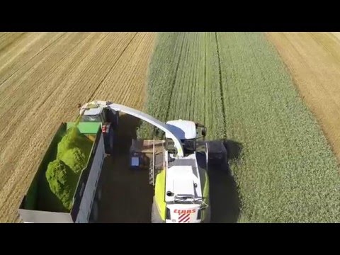 DOMAI MPD 611 - CLAAS 980 - Barra taglio diretto Triticale (1)