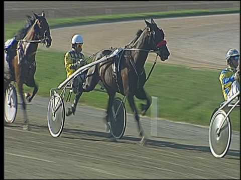 Trotto 25/09/2016 - 3ª corsa