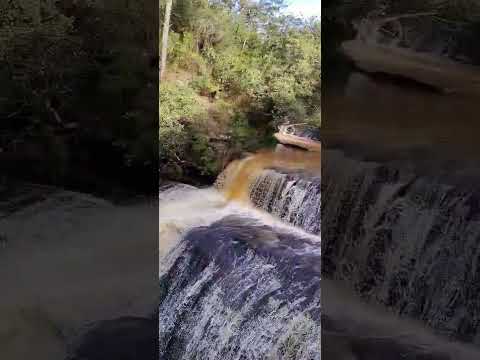 vel das noivas Jaguariaíva Paraná