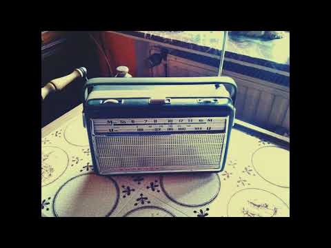 Radio Übertragung 29.4.1978 - Meisterschaftsfinale Köln vs Gladbach