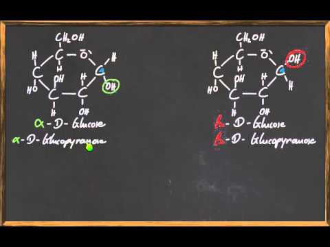 Q 11 Anomer of Glucose