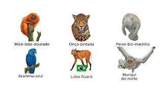 Cada Animal em extinção no Brasil Explicado em 9 Minutos