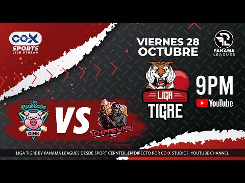 LIGA  TIGRE  - LOS PUERCOS  VS  CHIPPEWAS