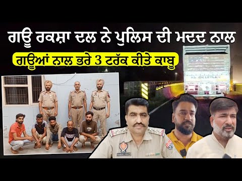 ਗਊ ਰਕਸ਼ਾ ਦਲ ਨੇ ਪੁਲਿਸ ਦੀ ਮਦਦ ਨਾਲ ਗਊਆਂ ਨਾਲ ਭਰੇ 3 ਟਰੱਕ ਕੀਤੇ ਕਾਬੂ