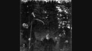 Darkwoods My Betrothed - Burn, Witches, Burn