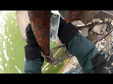 Behind the scenes of the Cornell Lab of Ornithology Hawk Cam