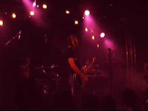 Understanding - Symbiotic Stridulations