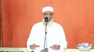 صورة 6 ادب نوح عليه السلام وخوفه | الشيخ شوقي عبد الصادق