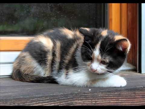 Portraits 24 10 2014