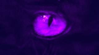 SD - Remember ft Gino Marley (D-Mented Mix)