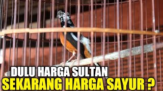 Download lagu TURUN HARGA ! SUDAH SEMURAH INIKAH HARGA MURAI BLOROK EXTREME DI TAHUN 2025 ? mp3