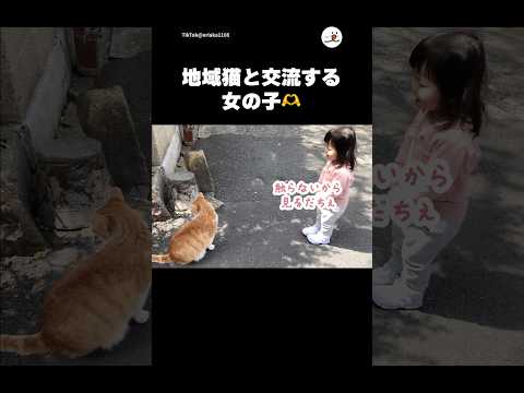 地域猫との距離感がバッチリすぎる女の子｜PECO