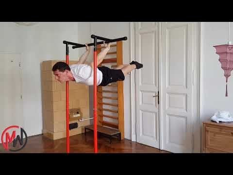 Pullup Mate Review: The BEST Pullup and Dip Station for Home